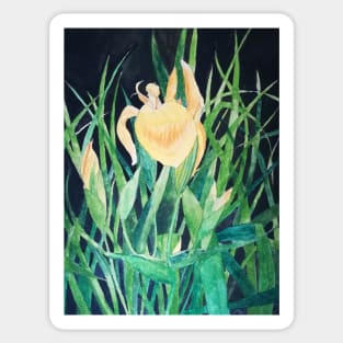 Yellow irises watercolour painting Sticker